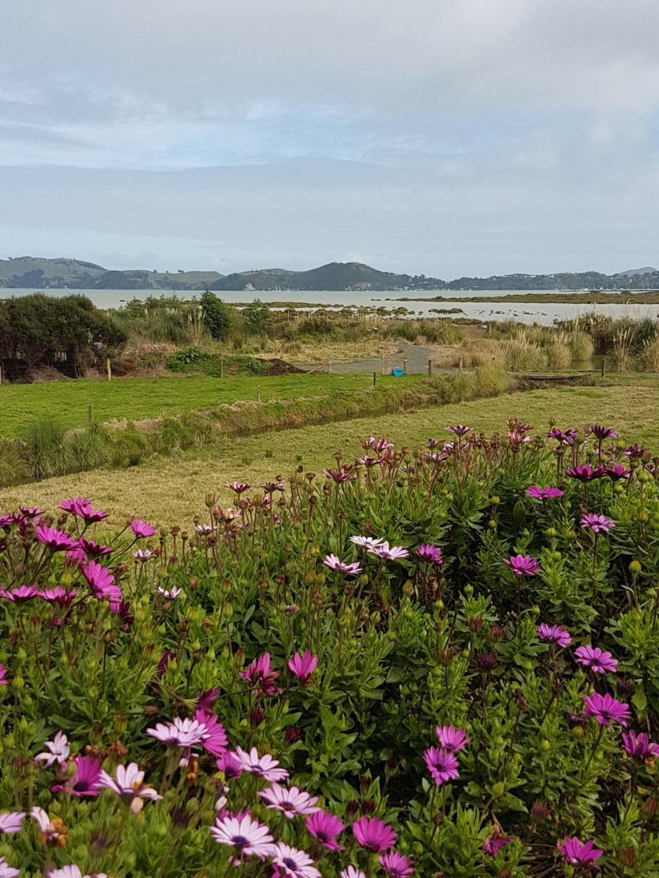 The Little Farm Coromandel Hotel Esterno foto