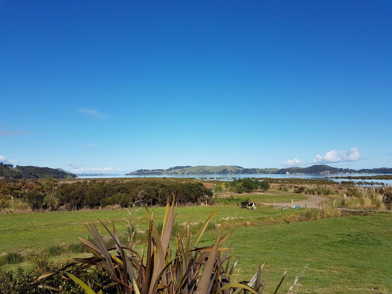 The Little Farm Coromandel Hotel Esterno foto
